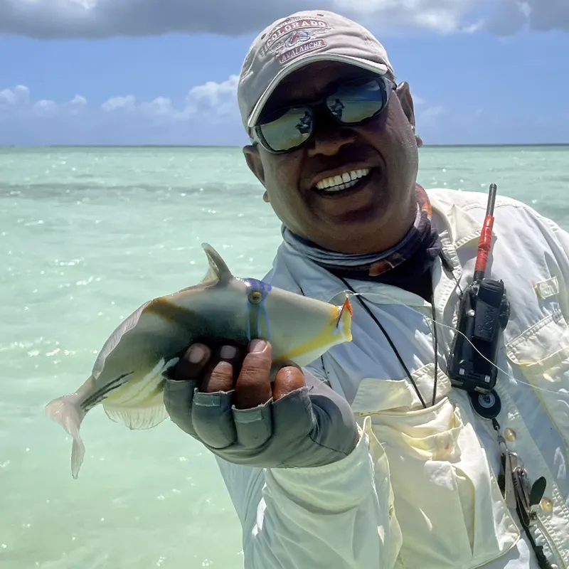 The Villages guide with a picasso triggerfish  from Christmas Island.