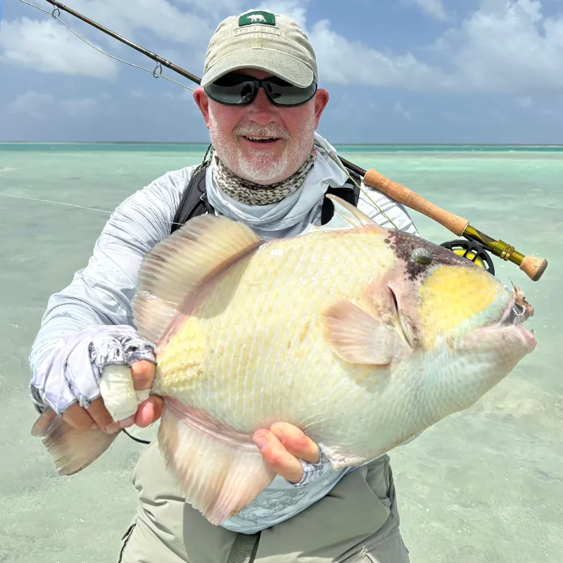 Jack with Triggerfish during a Fishing with Larry hosted week at The Villages on Christmas Island.